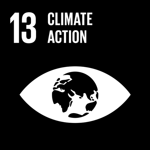 SDG13 Climate Action