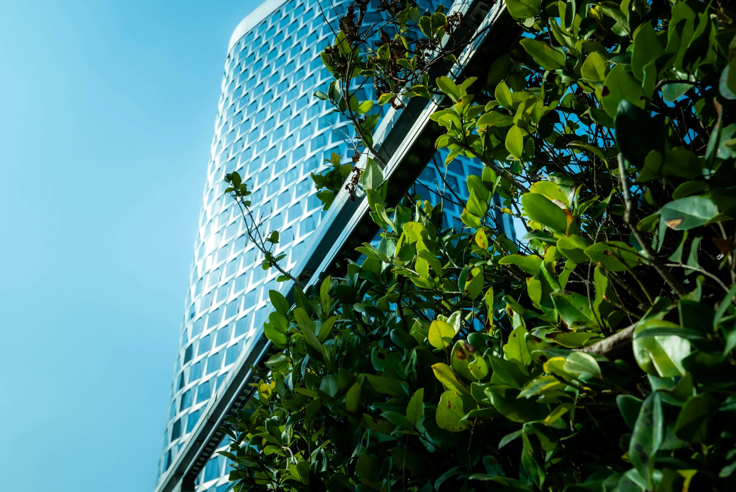 Modern bank skyscraper with green plants in the foreground, symbolizing sustainable finance and efforts to measure financed emissions